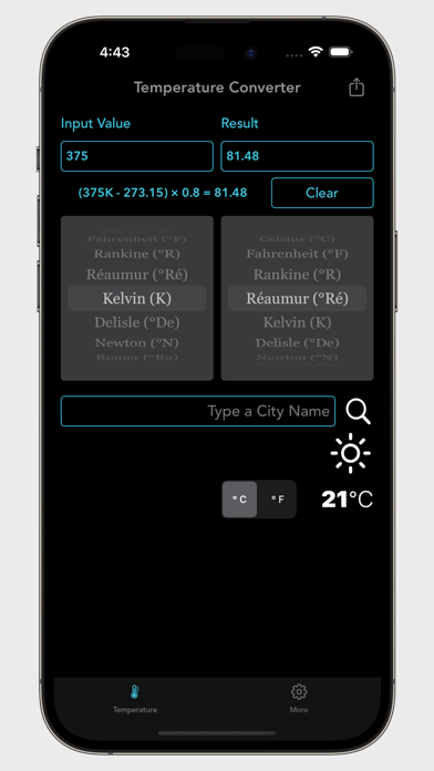 Digital Temperature Converter screenshot 2