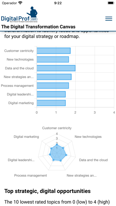 Digital Transformation Canvas screenshot 1