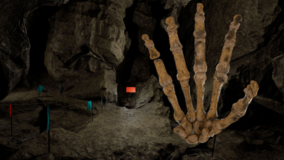 Dinaledi Chamber Perot Museum screenshot 4