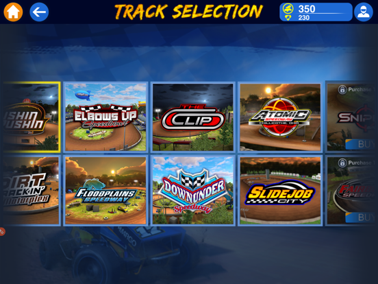 Dirt Trackin Sprint Cars screenshot 3