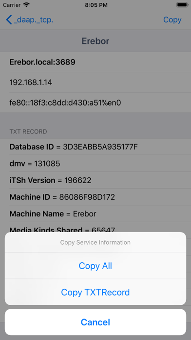 Discovery - DNS-SD Browser screenshot 1