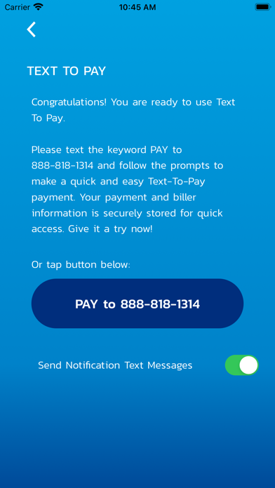 DivDat Mobile Payments App screenshot 4