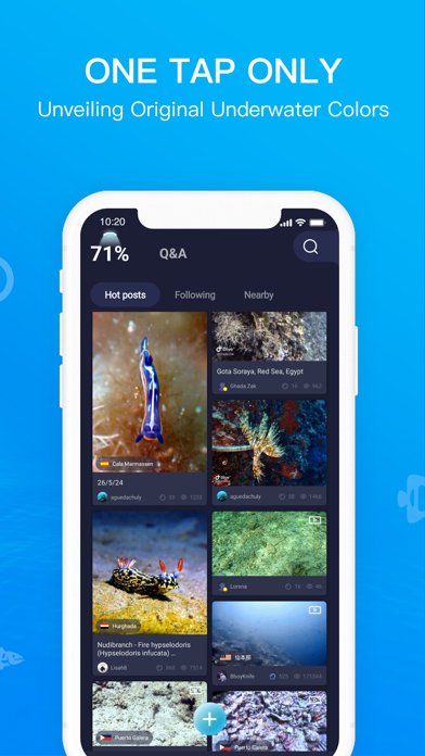 Dive+ World's Diving Community screenshot 3