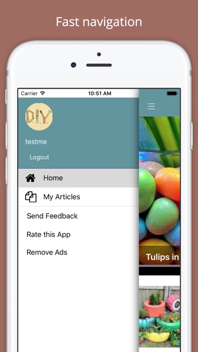 DIY Decor Project Ideas screenshot 2