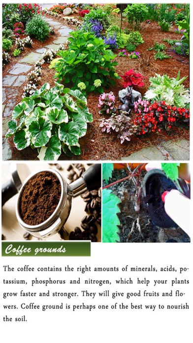 DIY Gardening Tips screenshot 4