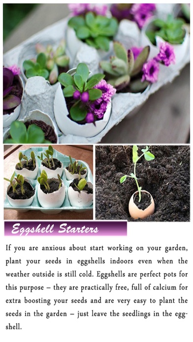 DIY Gardening Tips screenshot 5