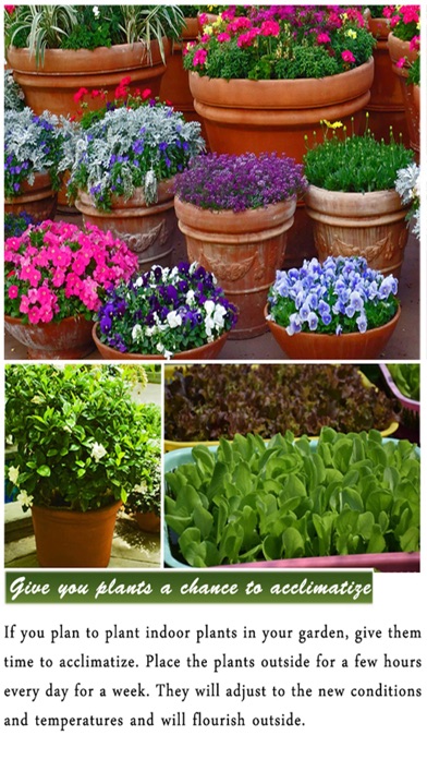 DIY Gardening Tips screenshot 2