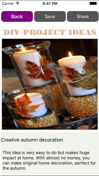 DIY Projects Ideas screenshot 4