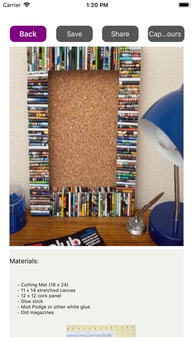 DIY Recycle Crafts Ideas screenshot 4