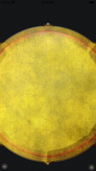 Djembe Thumb Drum screenshot 4