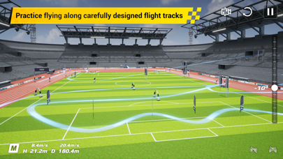DJI Virtual Flight screenshot 2