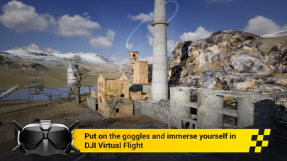 DJI Virtual Flight screenshot 5
