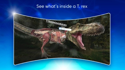 DK Virtual Reality screenshot 2