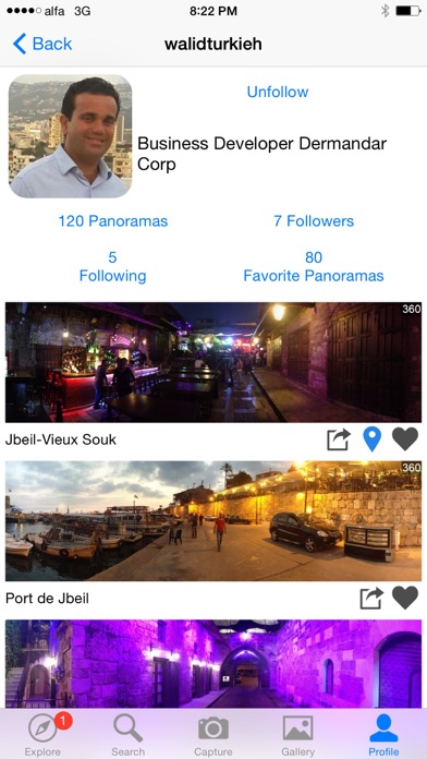 DMD Panorama screenshot 3