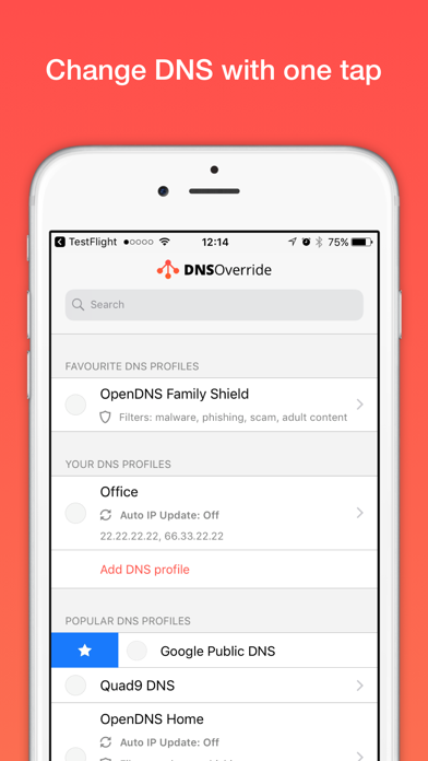 DNS Override screenshot 5