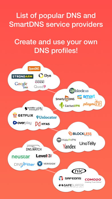 DNS Override screenshot 2