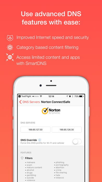 DNS Override screenshot 4