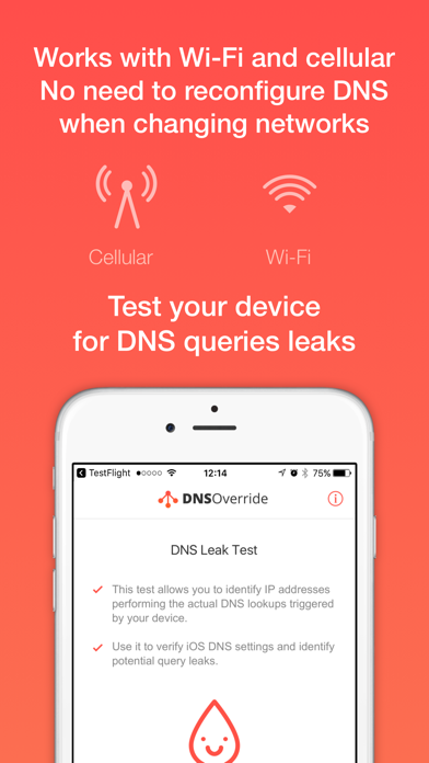 DNS Override screenshot 3