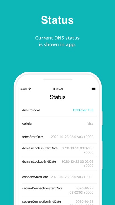 DNS Security screenshot 1