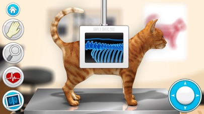 Doctor Games: Pet Vet Cat Care screenshot 5
