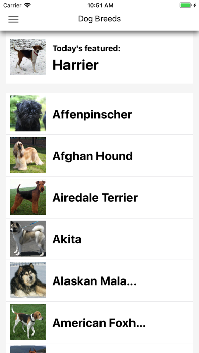 Dog Breeds HD Wallpapers screenshot 5