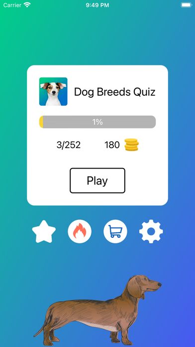 Dog Breeds Quiz: Guess the Pet screenshot 2