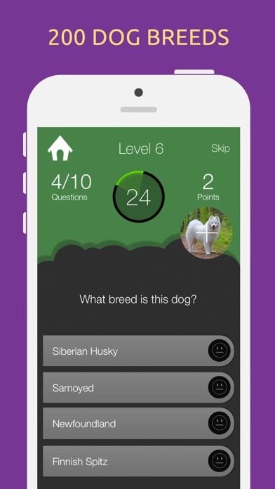 Dog Breeds Quiz Test Game screenshot 2