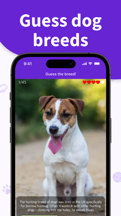 Dog Breeds Training Games Life screenshot 1