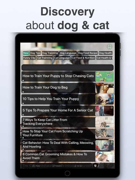 Dog & Cat Translator: Pet Chat screenshot 3