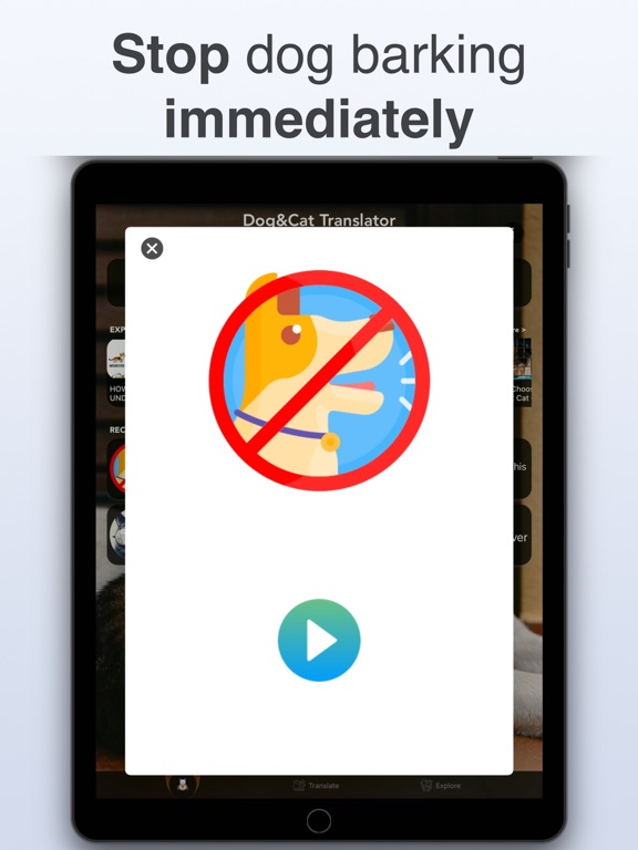 Dog & Cat Translator: Pet Chat screenshot 5