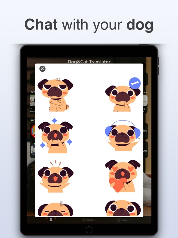 Dog & Cat Translator: Pet Chat screenshot 7