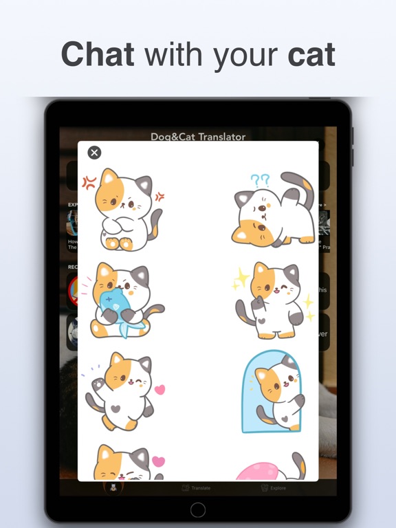 Dog & Cat Translator: Pet Chat screenshot 6