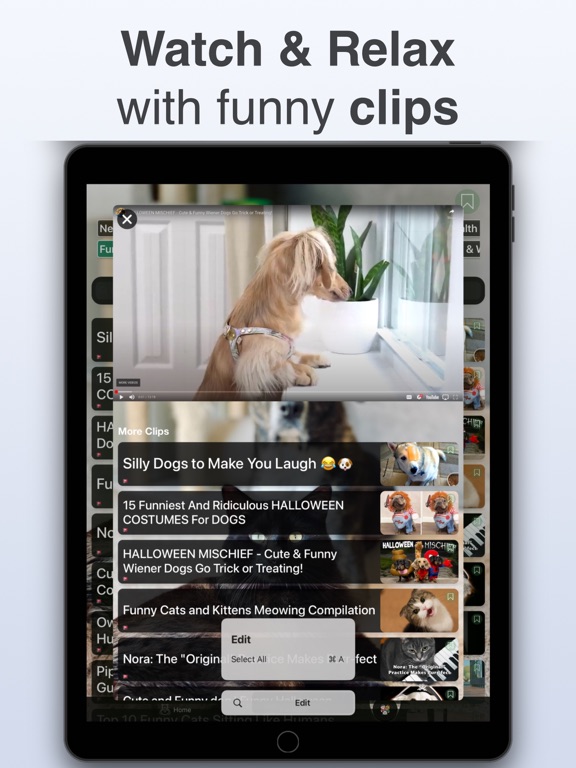 Dog & Cat Translator: Pet Chat screenshot 1