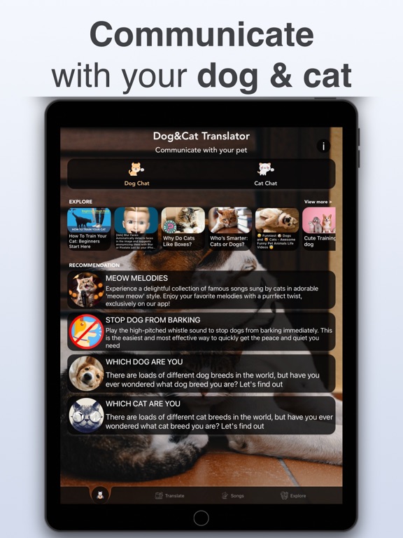Dog & Cat Translator: Pet Chat screenshot 4