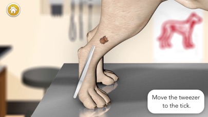 Dog Games: Pet Vet Doctor Care screenshot 3