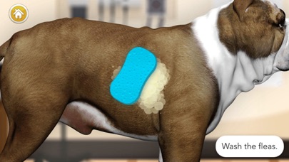 Dog Games: Pet Vet Doctor Care screenshot 4