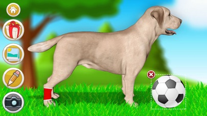 Dog Games: Pet Vet Doctor Care screenshot 2