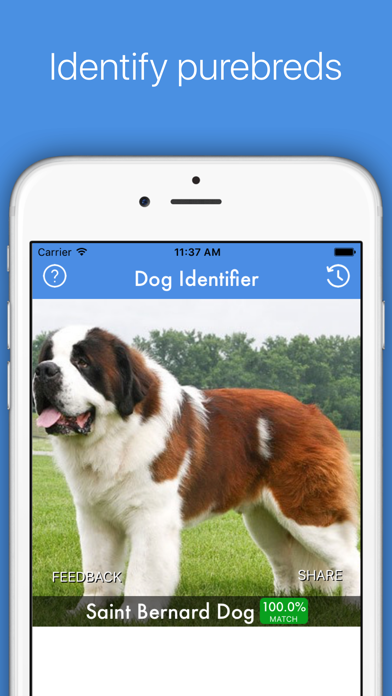 Dog ID - Dog Breed Identifier screenshot 1