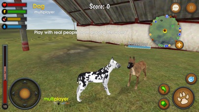 Dog Multiplayer : Great Dane screenshot 1