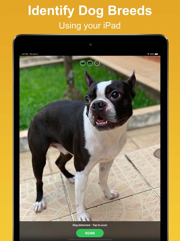 Dog Scan - Breed Identifier screenshot 3