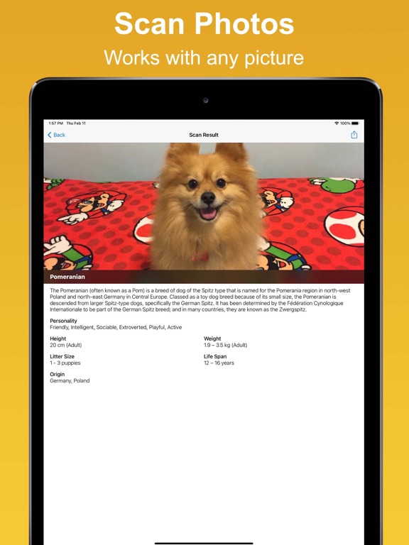 Dog Scan - Breed Identifier screenshot 1
