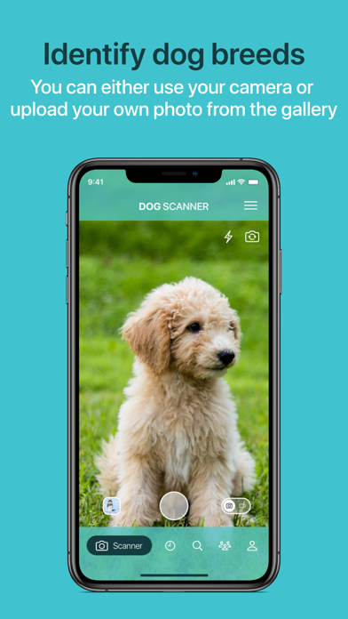 Dog Scanner screenshot 10