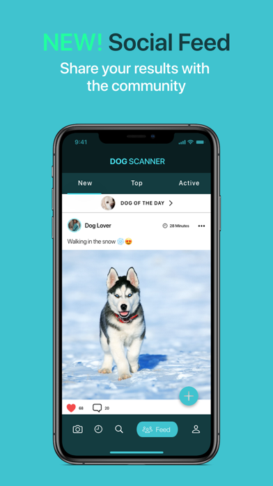 Dog Scanner screenshot 7
