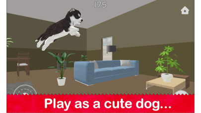 Dog Simulator 2022 screenshot 5