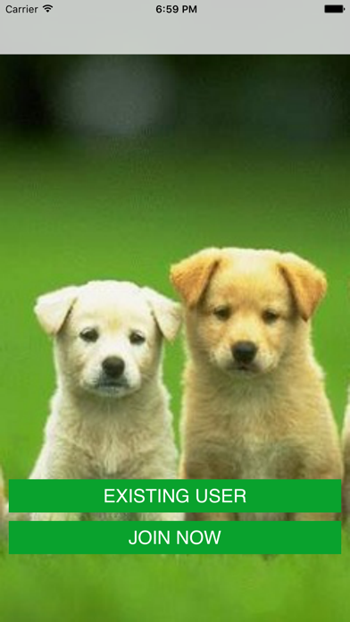 Dog Walker - Fitness Run screenshot 5