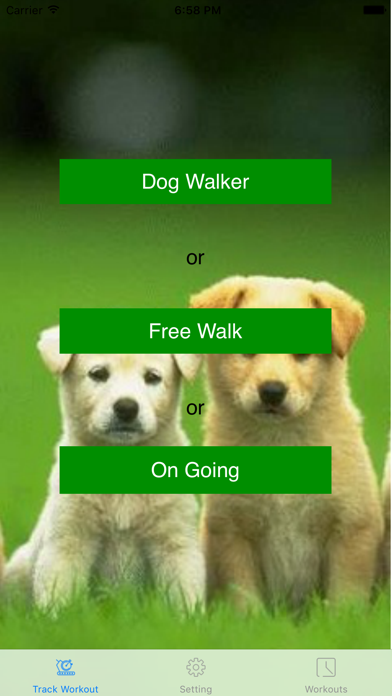 Dog Walker - Fitness Run screenshot 4