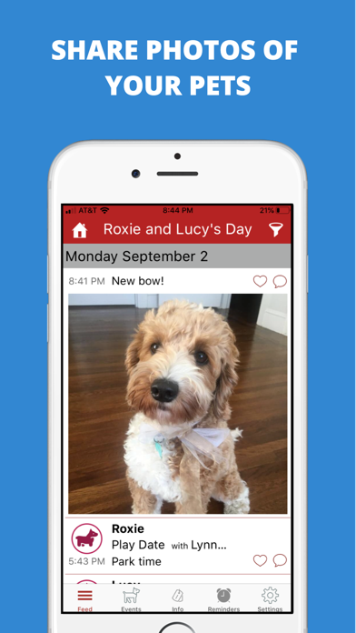 DogLog - Track your dog’s life screenshot 7