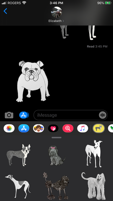 Dogs Dogs Dogs screenshot 2