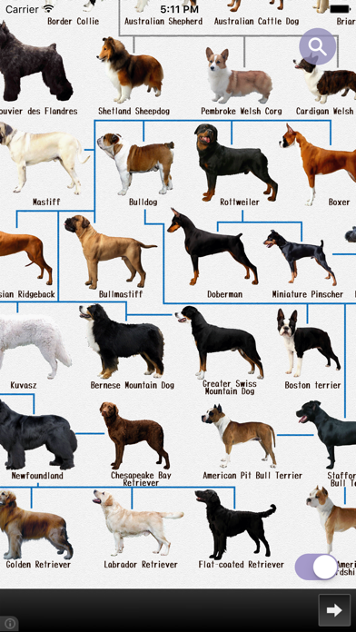 Dog's Family screenshot 5