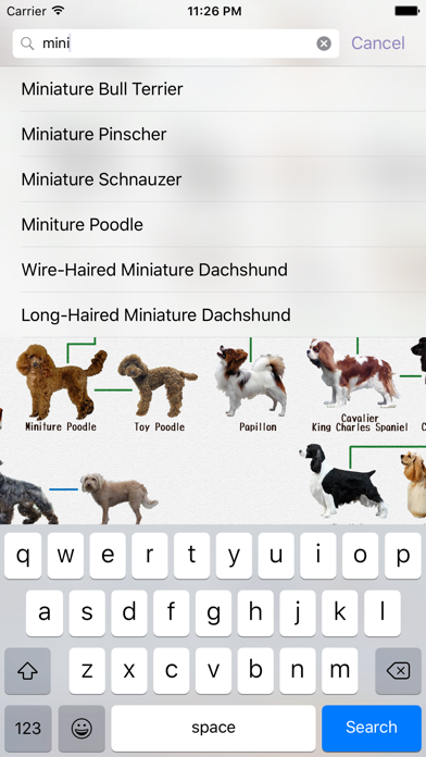 Dog's Family screenshot 4